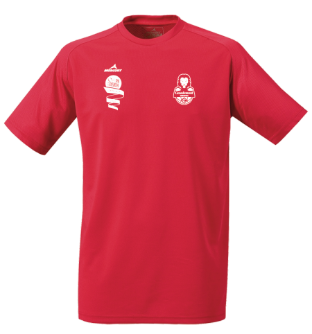 CAMISETA ESPECIAL COPA DE LA REINA 2025